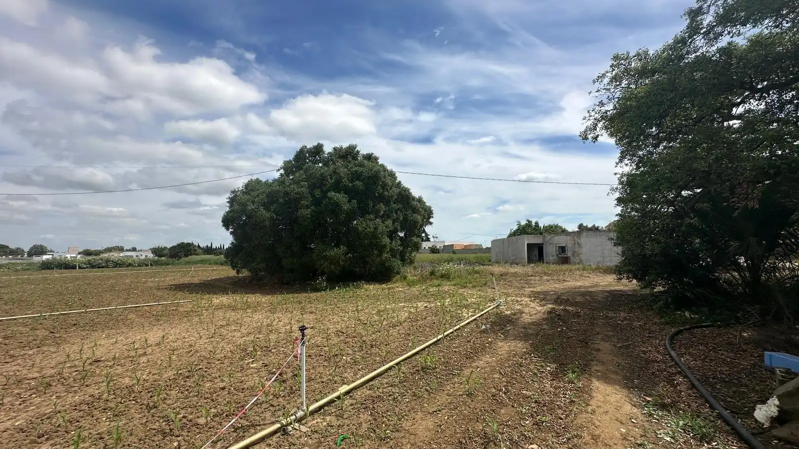 Finca rústica en venda en Conil de la Frontera