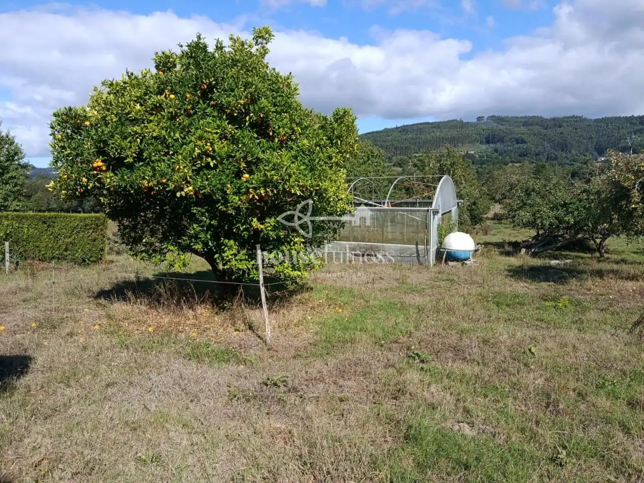 House with garden for sale in Moeche, imagen 39