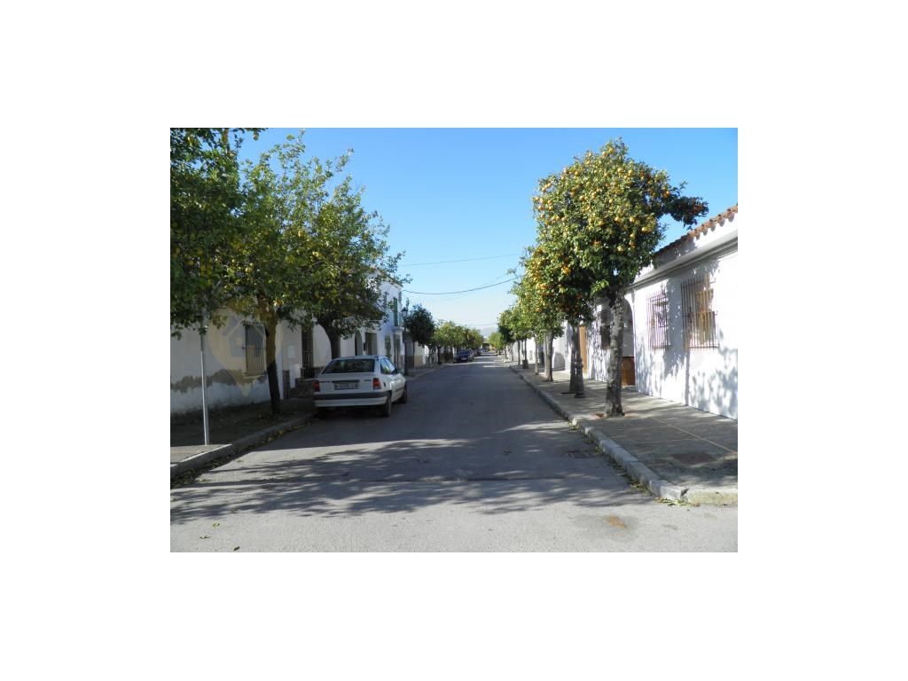 Exterior view of House or chalet for sale in Jerez de la Frontera