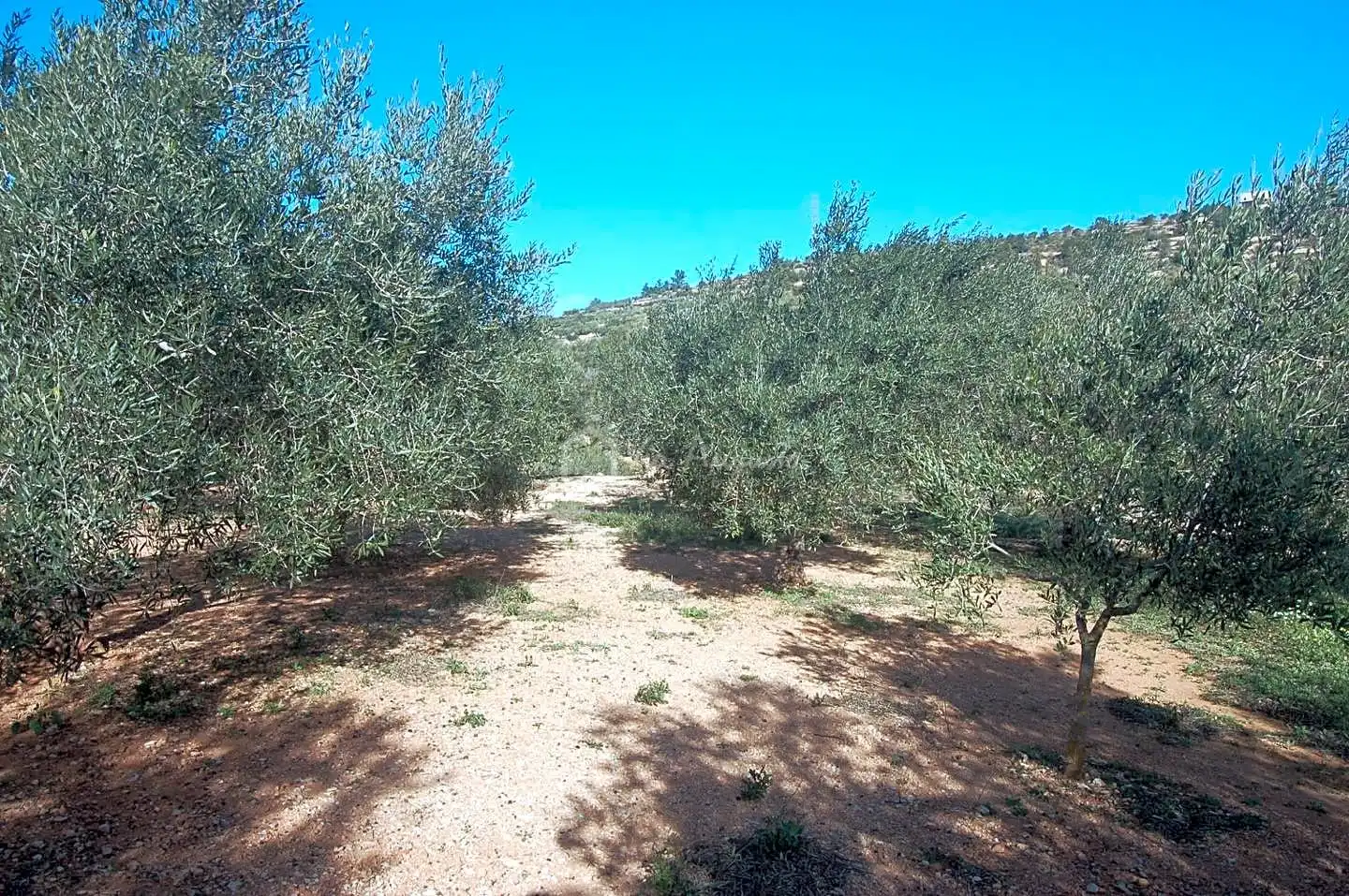 Terreno rustico in vendita a Masets, imagen 9