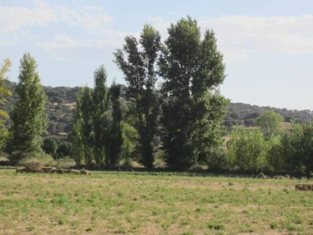 Terreno residencial en venta en Poligono 20, imagen 10