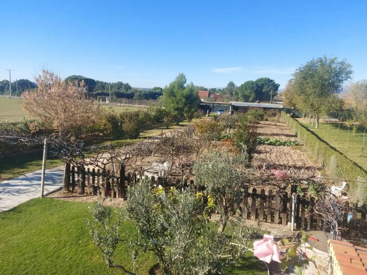 House with pool for sale in Fuente El Saz de Jarama, imagen 54