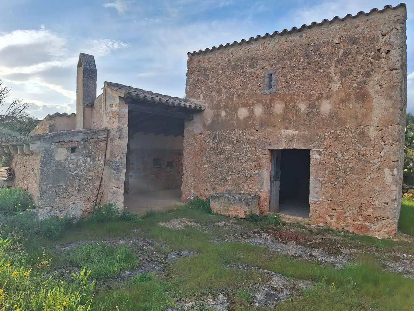 Vista exterior de Finca rústica en venta en Algaida