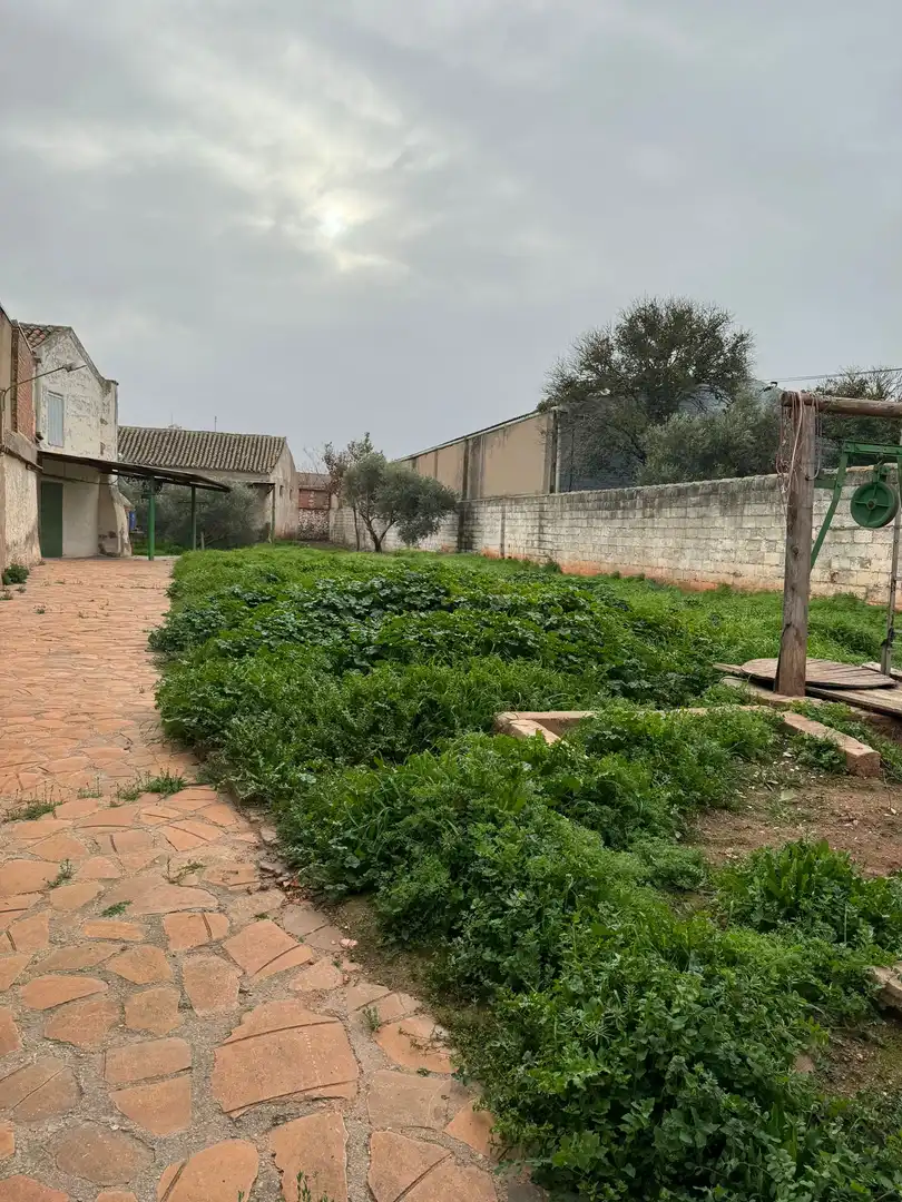 Terreny residencial en venda a Alcázar de San Juan, imagen 4