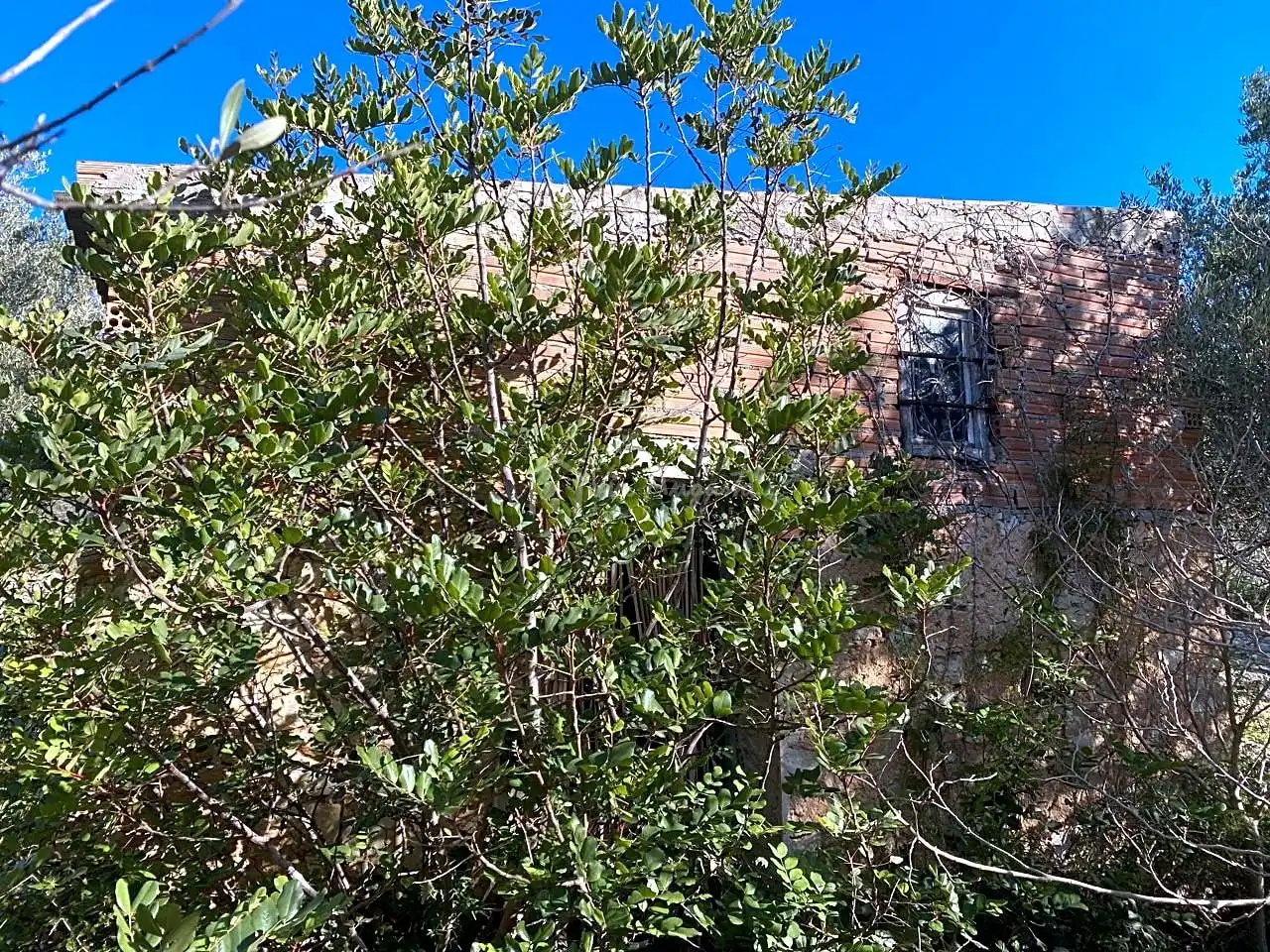 Terreno rustico in vendita a Aubachs, imagen 3