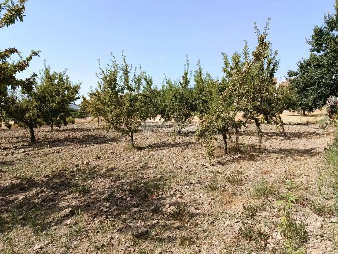 Wohnbaugrundstück zum Verkauf in Gójar, imagen 8