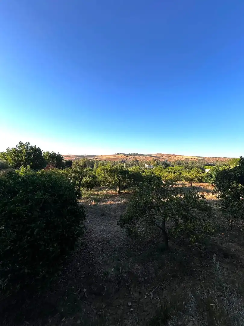 Terrenys i solars en venda a Coín, imagen 14