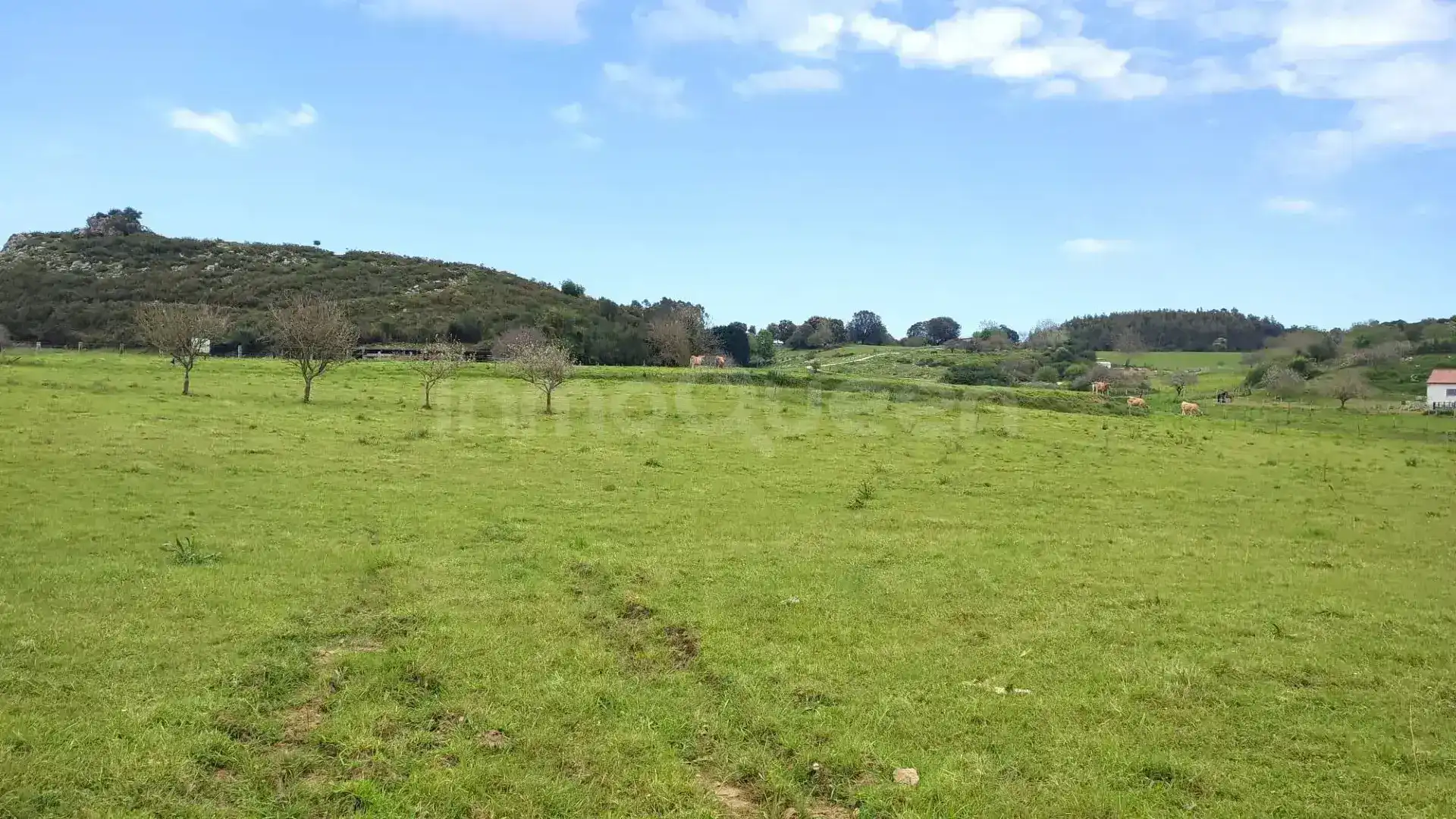 Terreno rustico in vendita a N/A