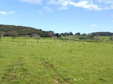 Terreno rustico in vendita a N/A