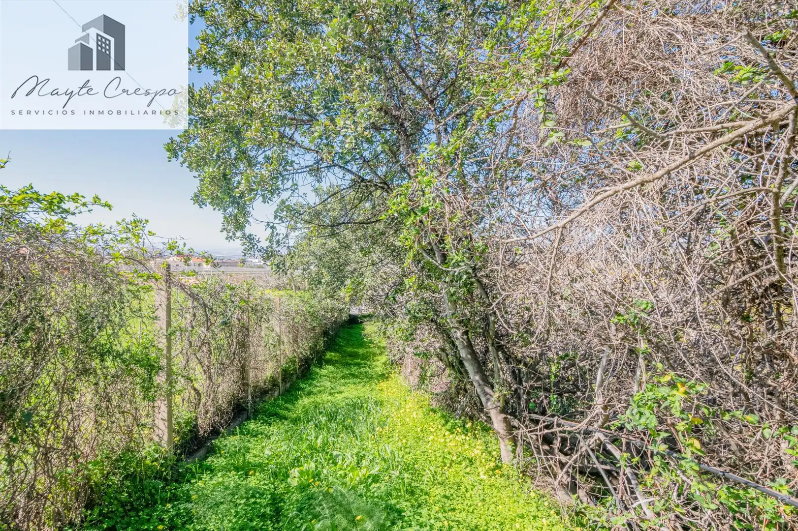 Detached house with pool for sale in Calle alcubillas 44, imagen 58