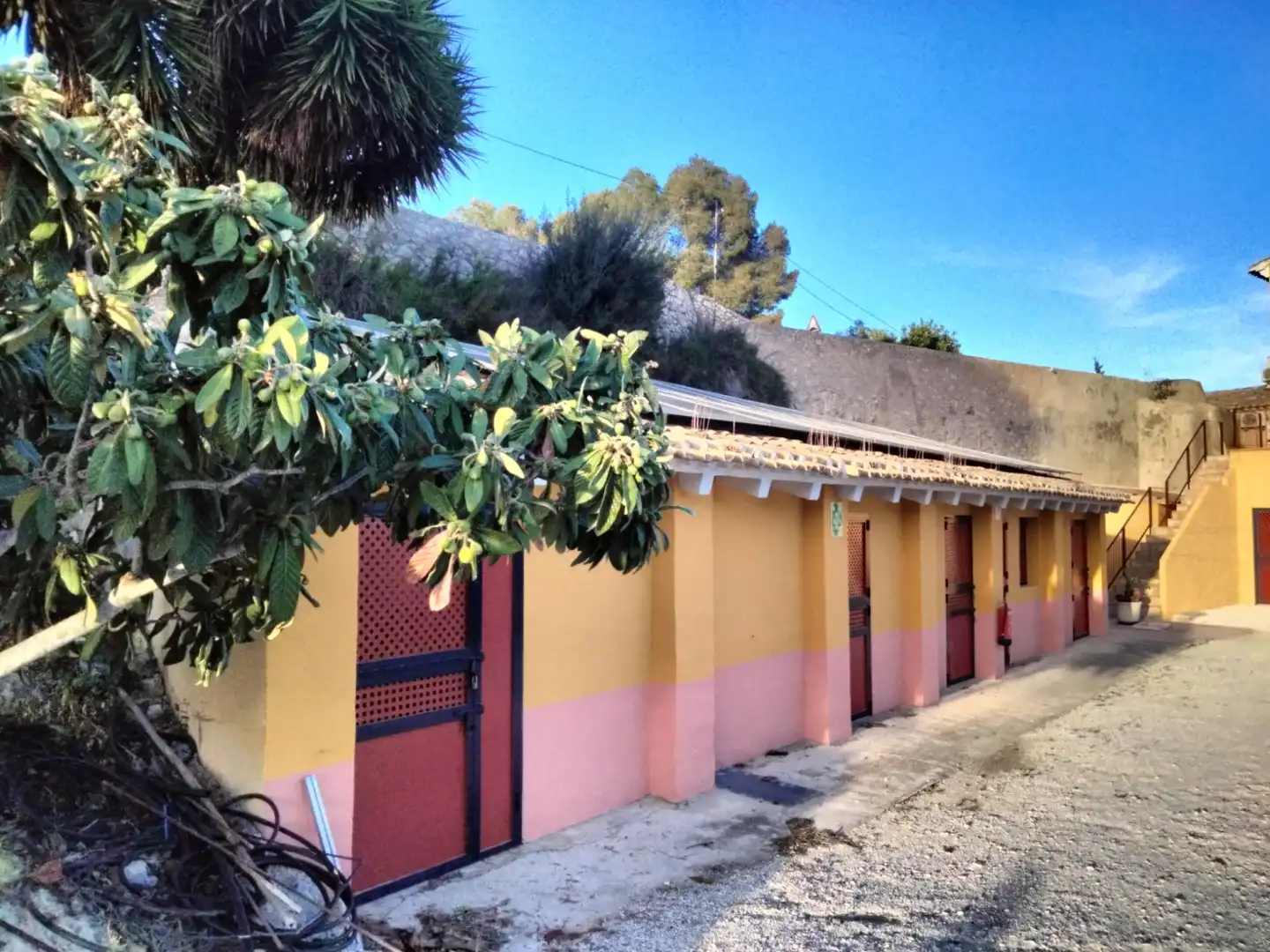 Inmuebles singulares con piscina en venta en Travesía Carretera de Mula 2, imagen 51