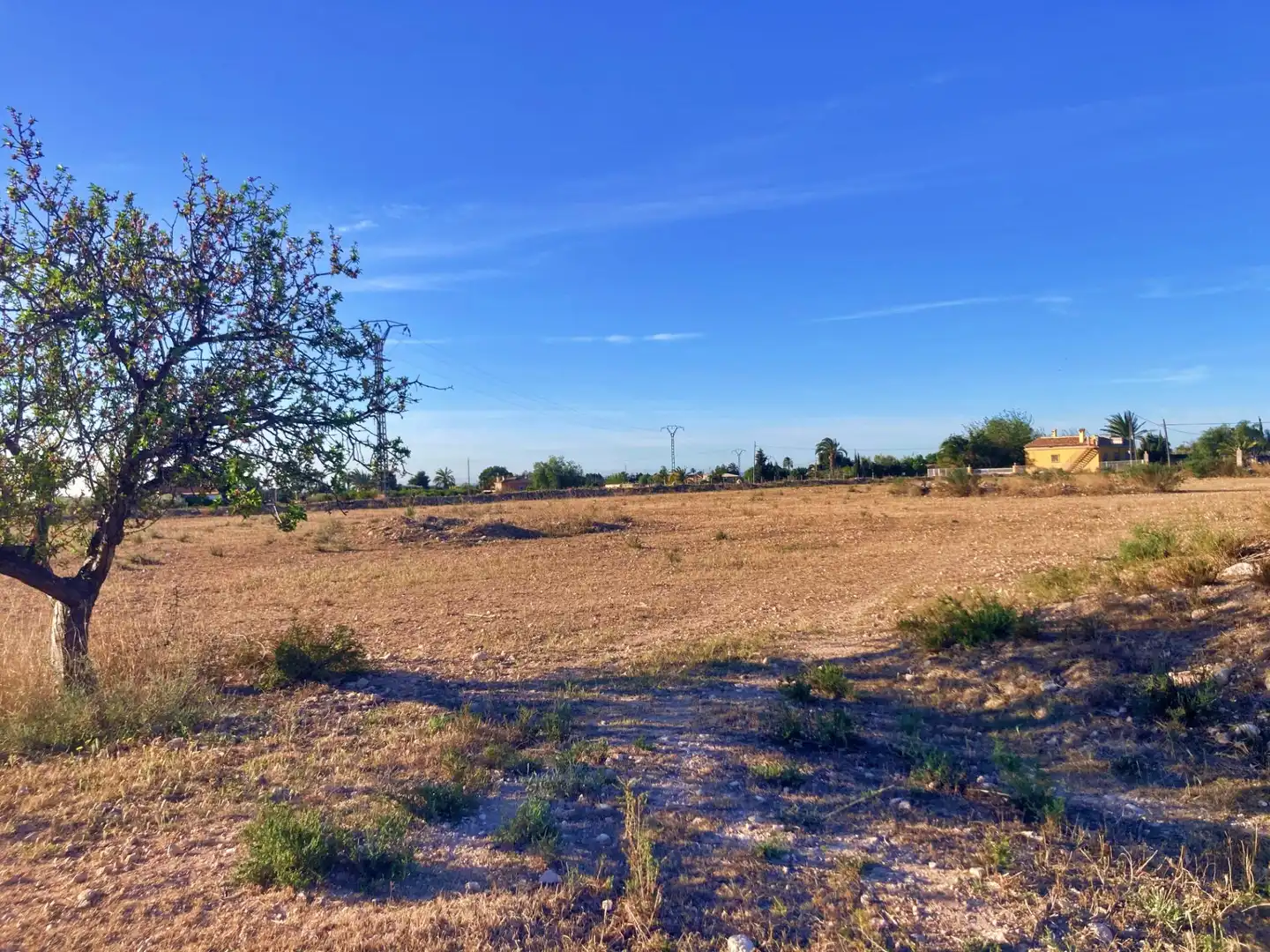 Finca rústica en venta en Elche / Elx