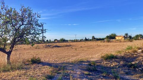 Foto 5 de Finca rústica en venda a Jubalcoi, Elche / Elx