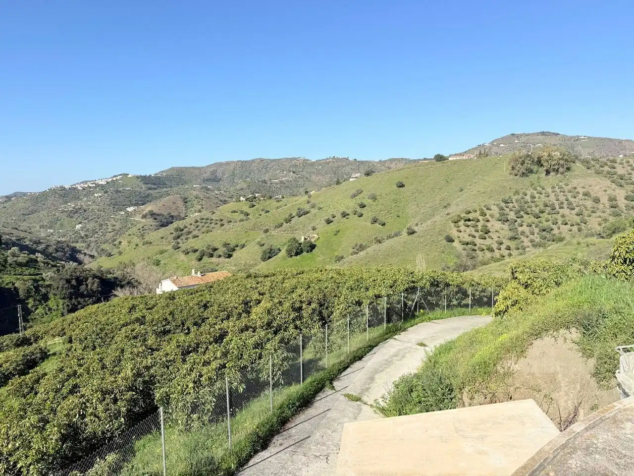 Exterior view of Land for sale in Canillas de Albaida