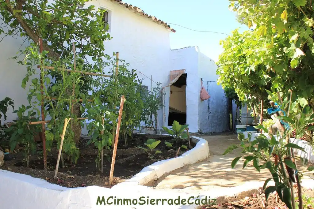Casa o chalet en venta en de Cádiz, Algodonales