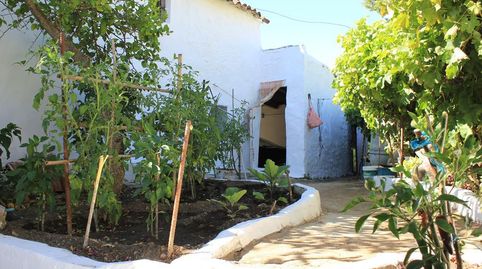 Foto 3 de Casa o chalet en venta en De Cádiz, Algodonales, Cádiz