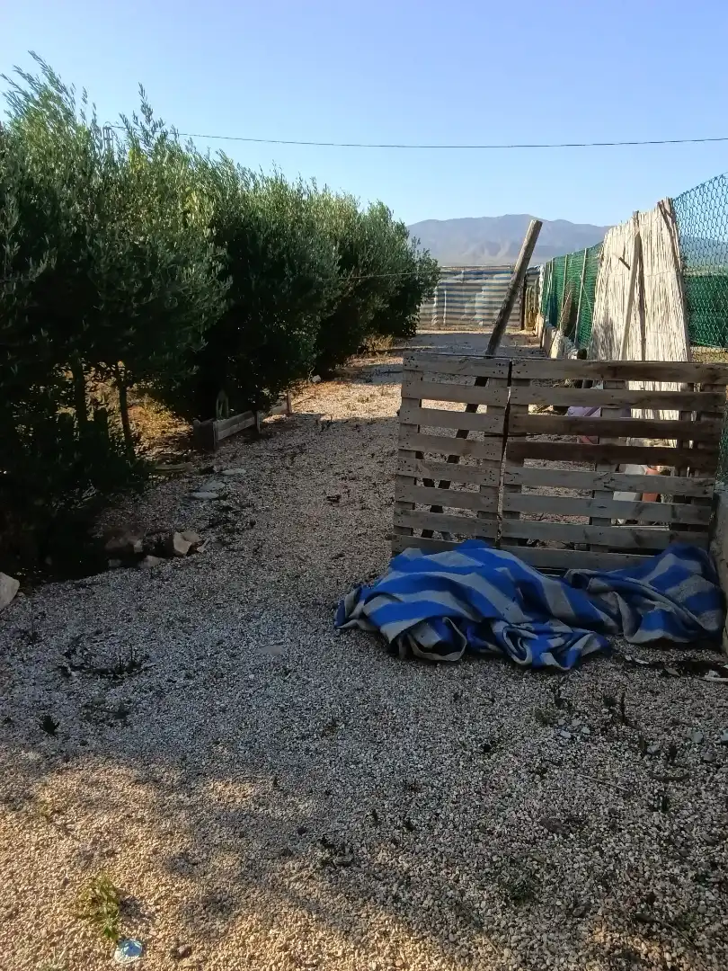 Casa con jardín en venta en Calle de los Grillos 10, imagen 33