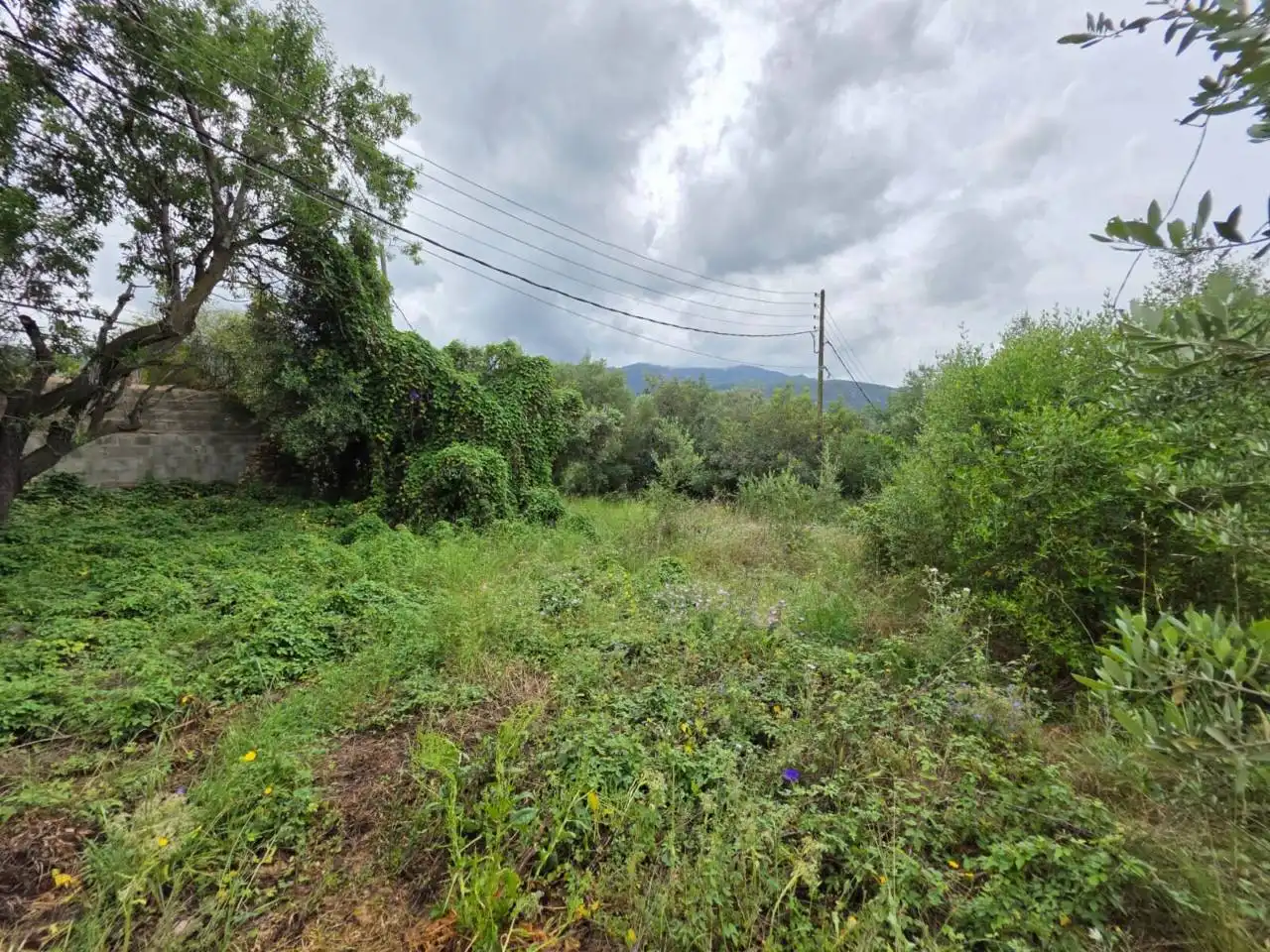 Land for sale in Ulldecona