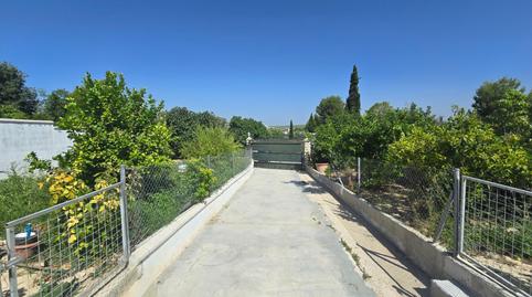 Foto 2 de Casa o chalet en venta en Camino Polígono 61 Paraje 155 Mina la, 98, Aguilar de la Frontera, Córdoba