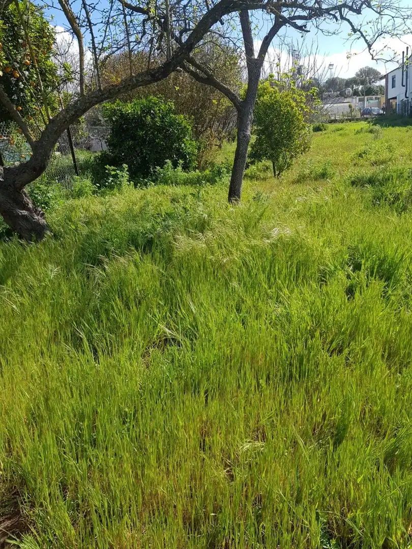 Terreno en venta en Barbate