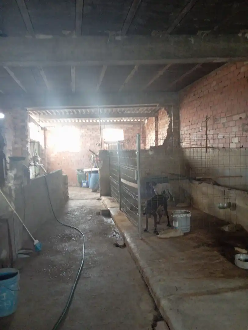 Nave industrial en venta en Catadau