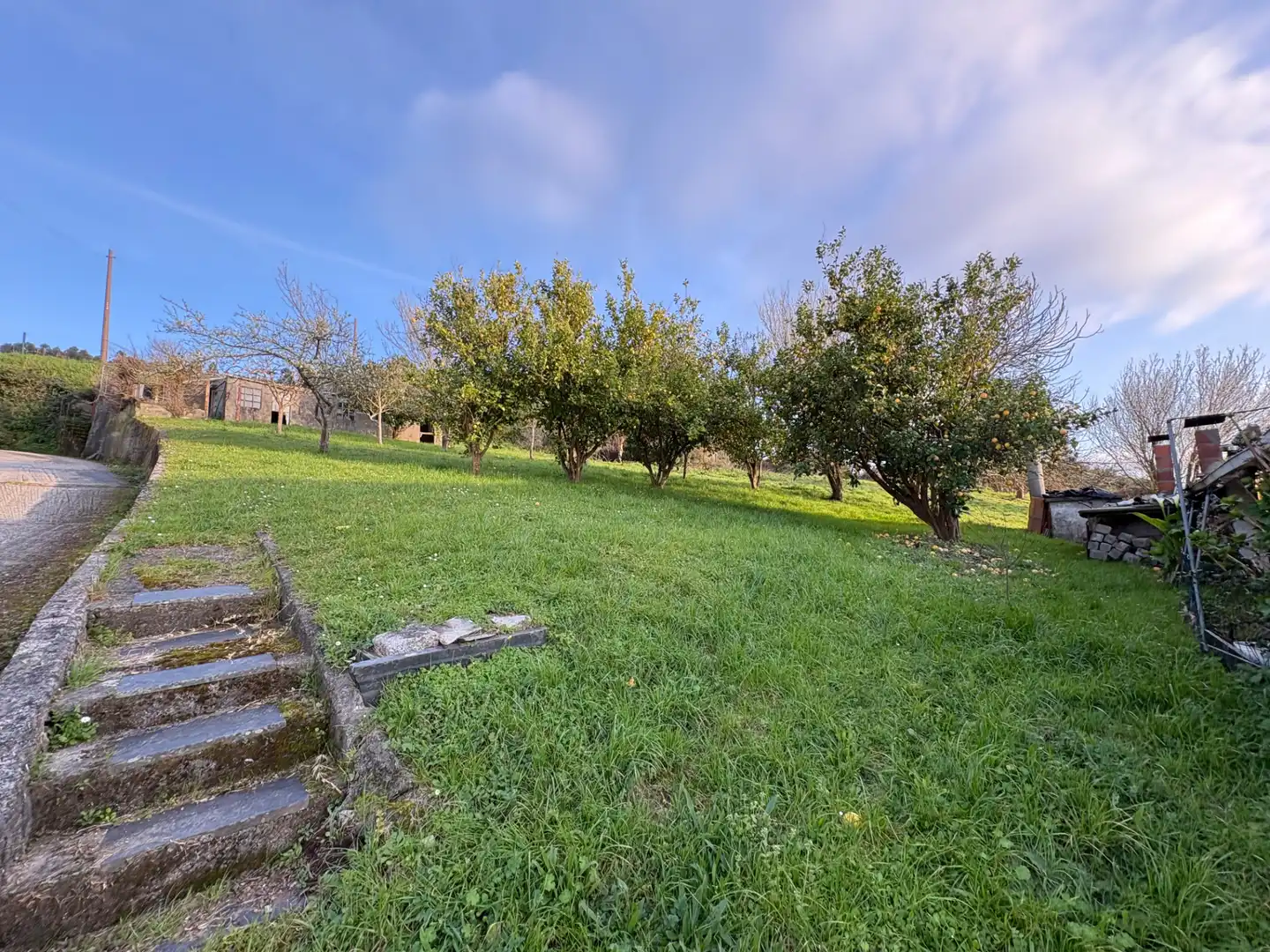 Casa o chalet en venta en Neda con Calefacción, Jardín privado y Terraza