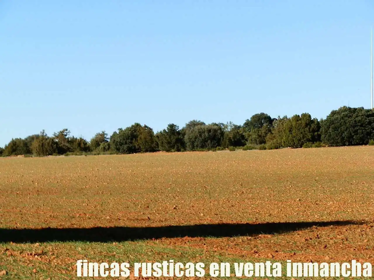 Lands and plots for sale in Ossa de Montiel, imagen 5