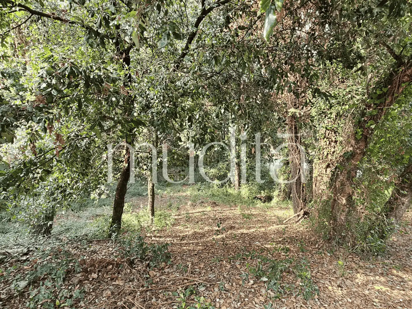 Residential land for sale in del Xaloc, imagen 5