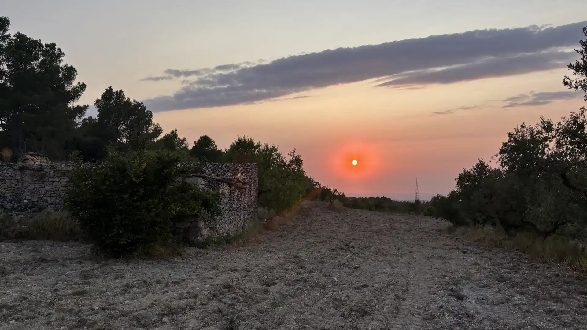 Finca rústica en venda en La Fatarella amb Jardí privat
