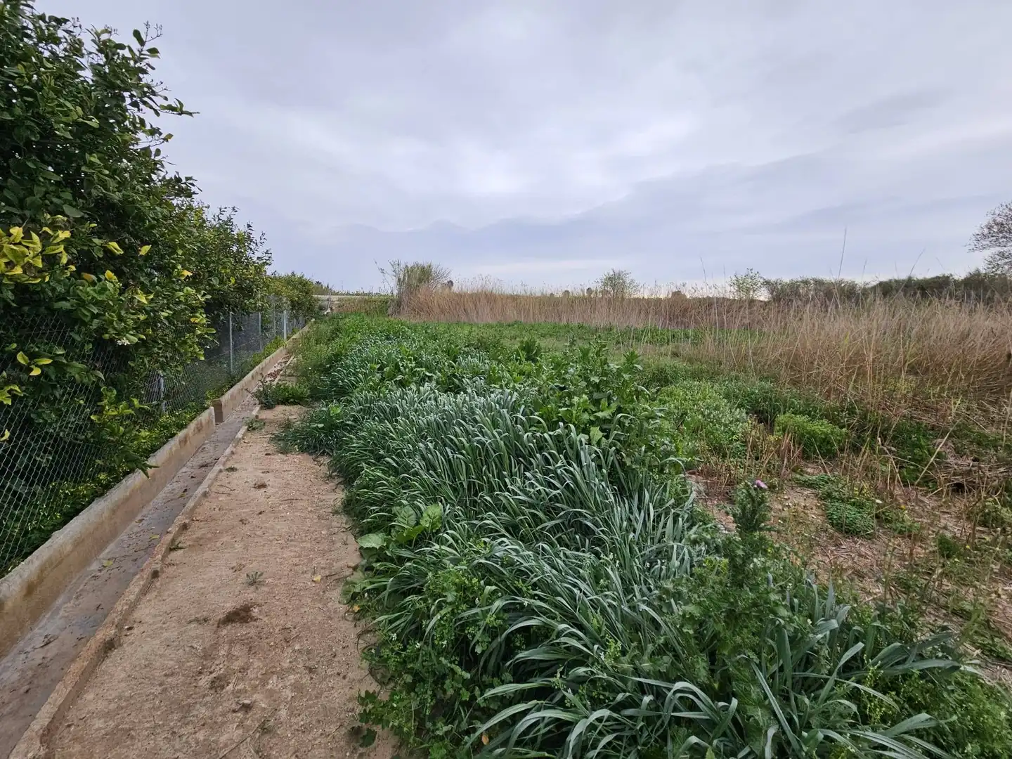 Terreno en venta en Beniel
