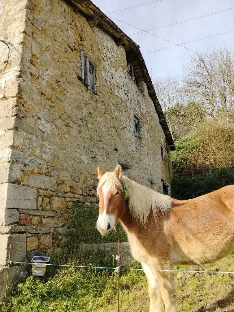 Casa rústica en venda a Tolosa, imagen 4