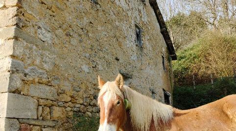 Foto 4 de Finca rústica en venta en Tolosa, Gipuzkoa