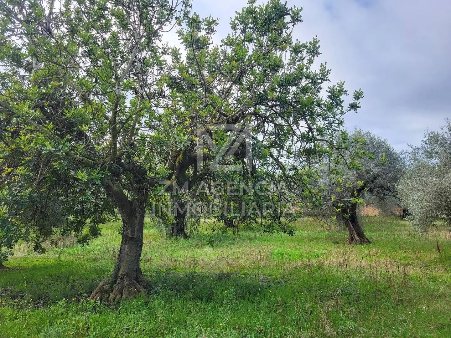 Terreno rustico in vendita a Cabanes, imagen 12