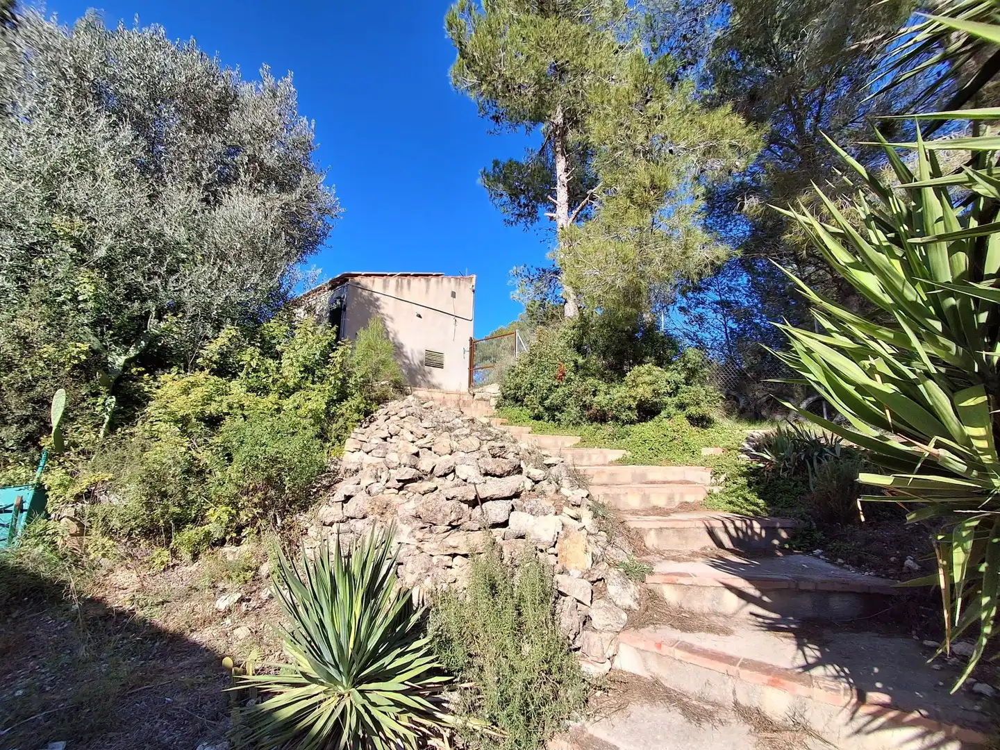 Jardí de Finca rústica en venda en Móra d'Ebre