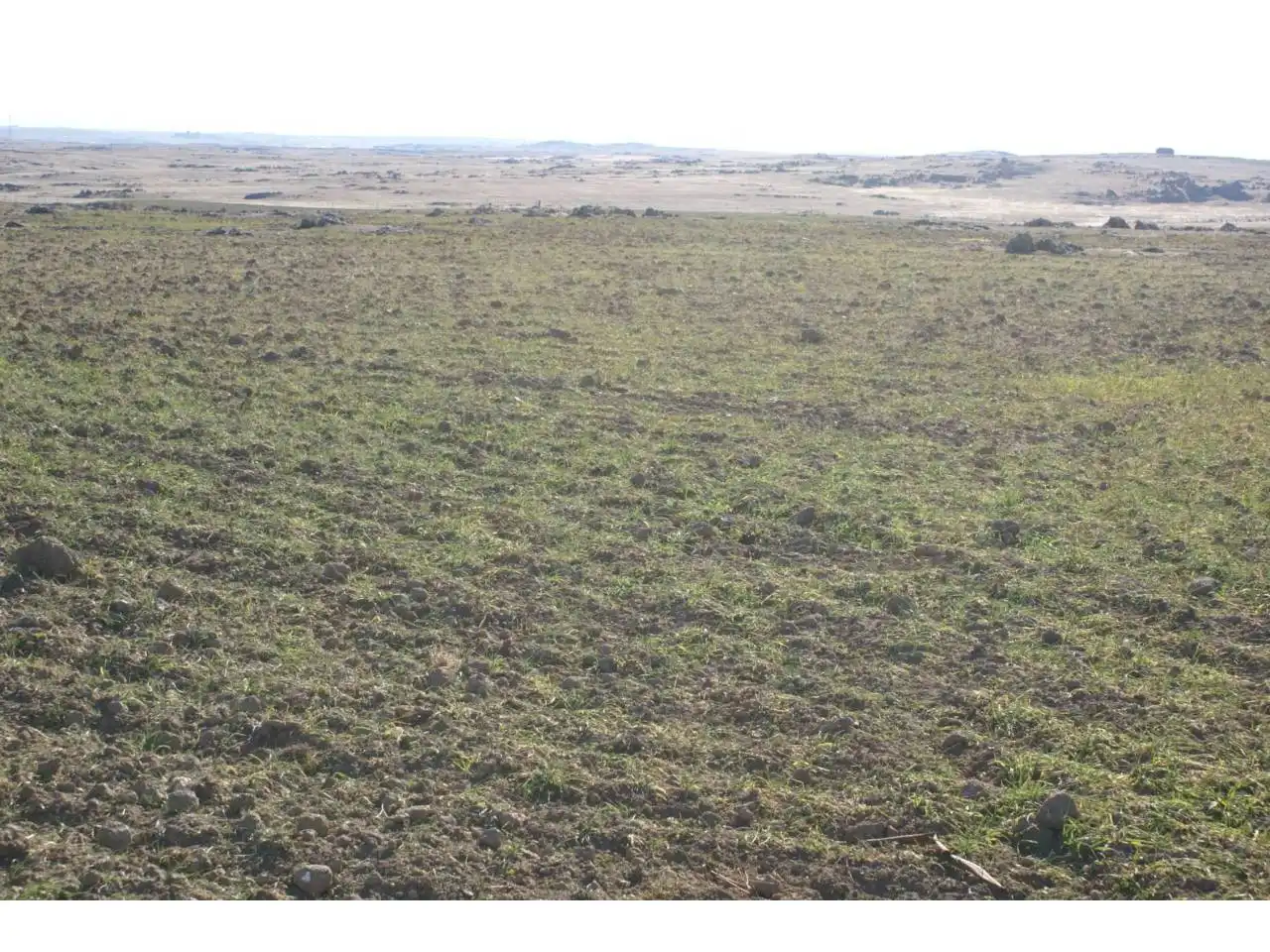Terreny rústic en venda a Carretera CAMPANARIO-ORELLANA, imagen 6