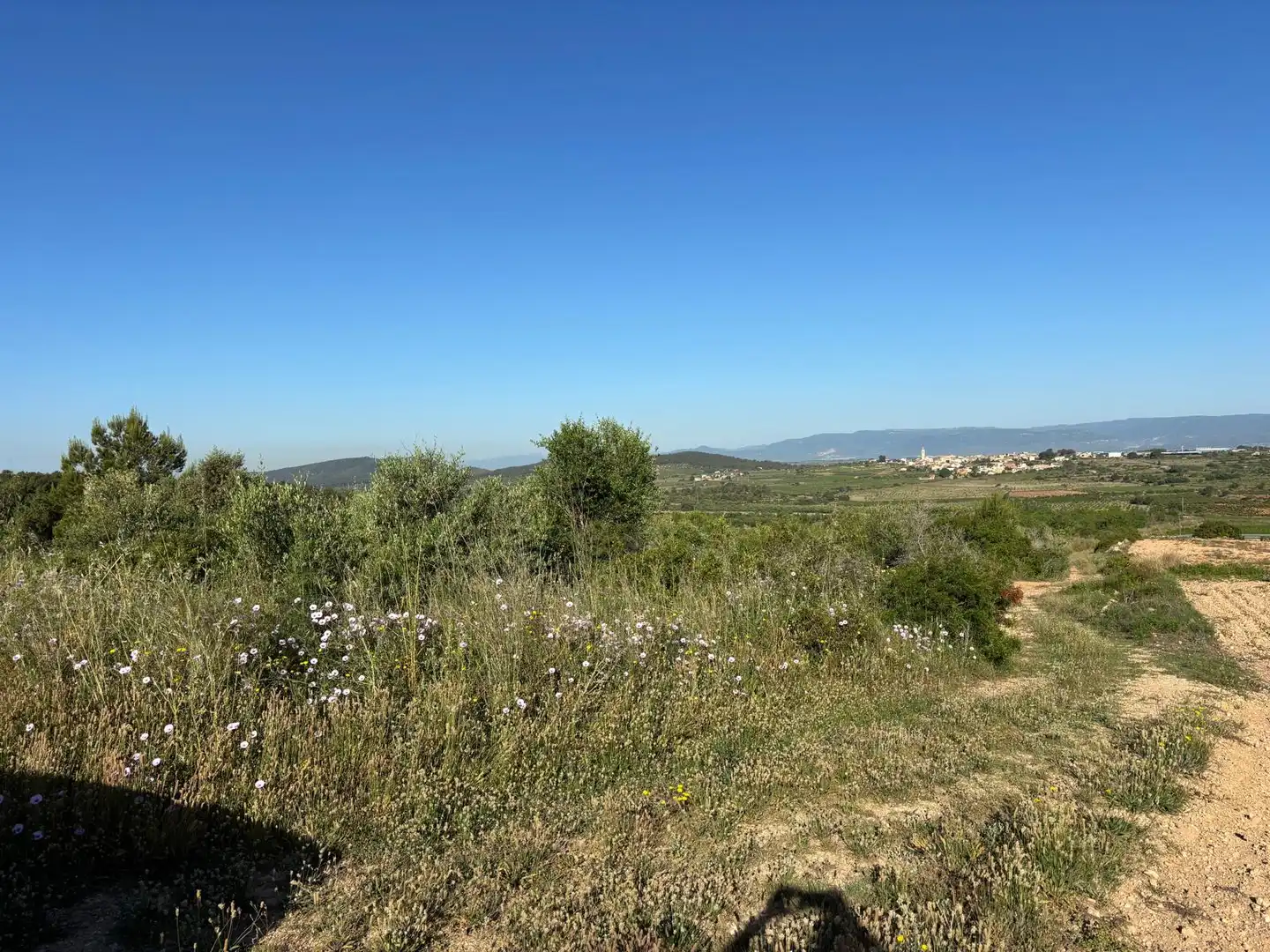 Rural land for sale in Camí de Rodonya 3, imagen 4