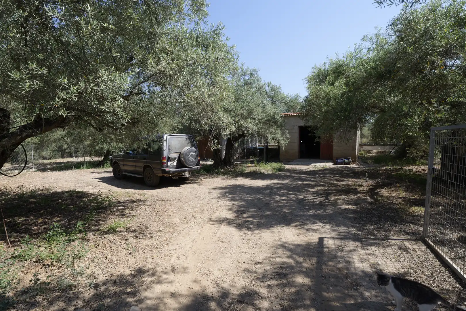 Garden of Country homes for sale in Ugíjar