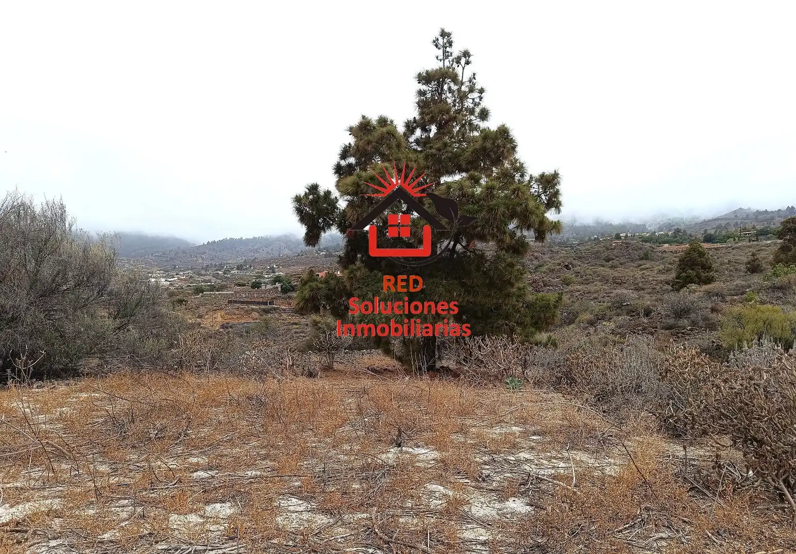 Rural land for sale in EL SERRILLAR, imagen 12