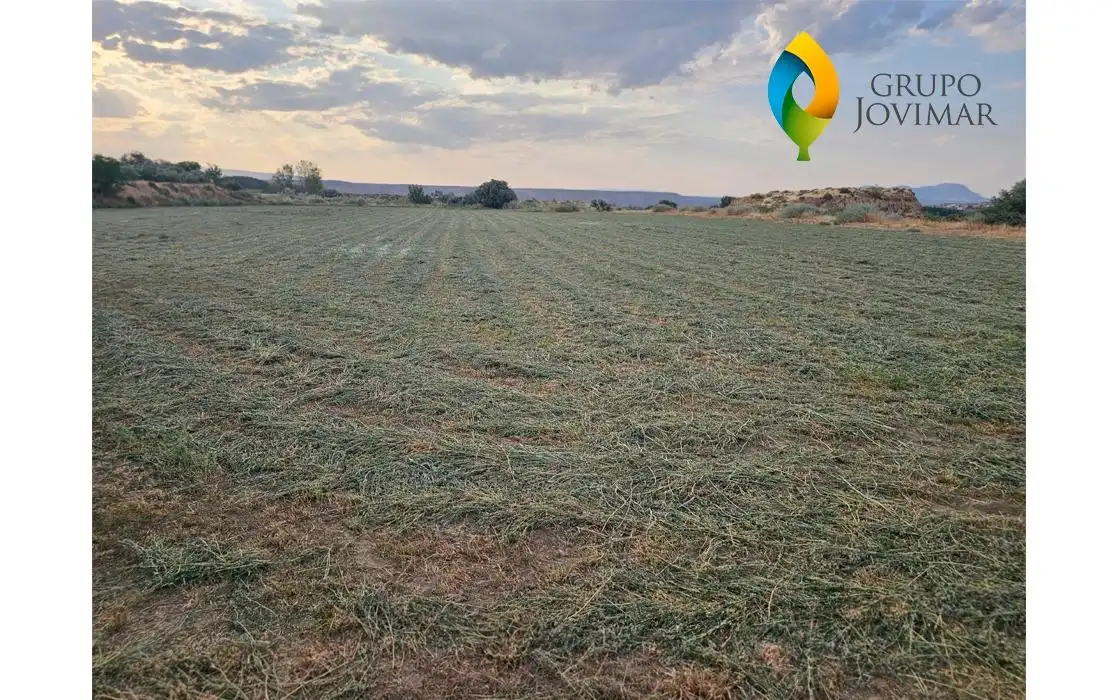 Rustikales Grundstück zum Verkauf in Guadix, imagen 6