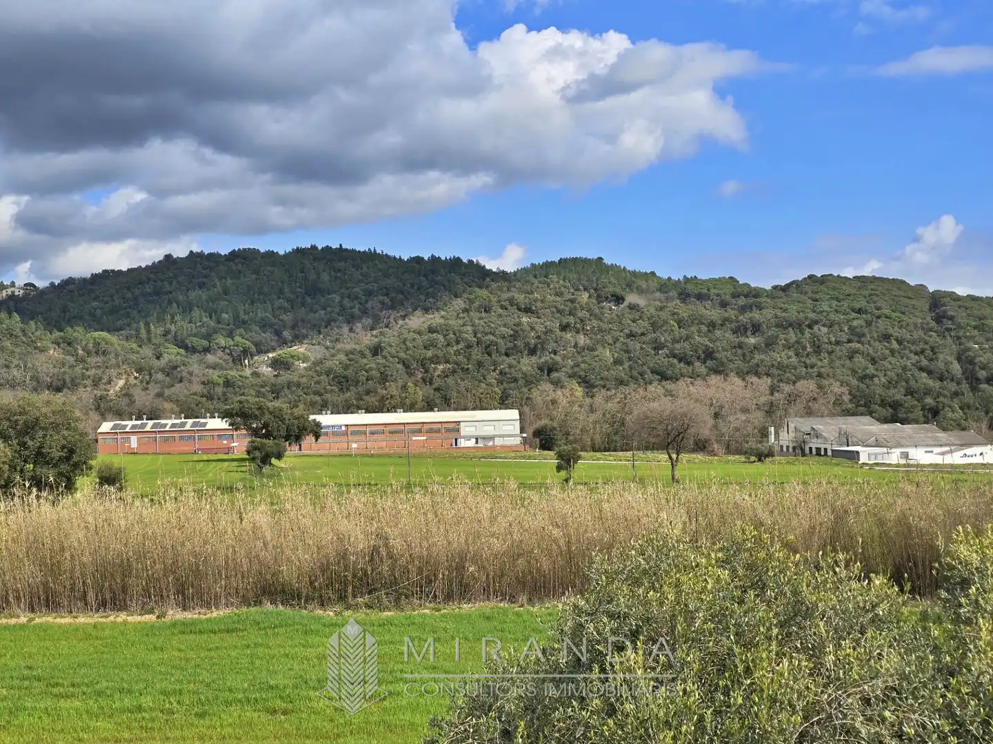 Villa mit Terrasse zum Verkauf in Avinguda Mossèn Pere Ribot, imagen 41