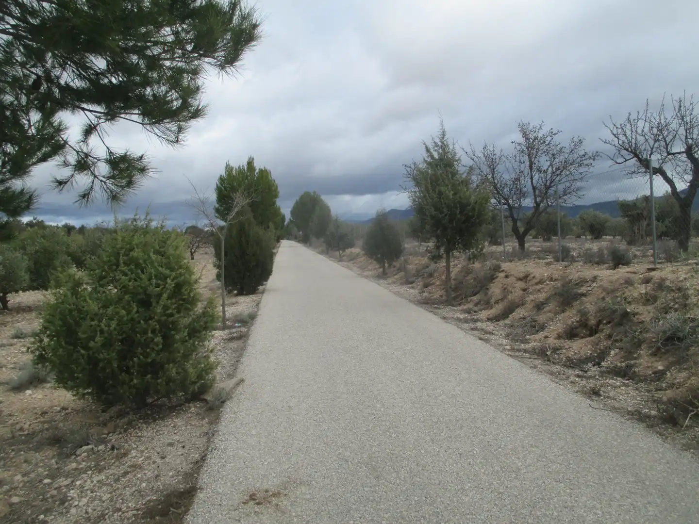 Rural land for sale in Ptda Toconar o Solana, Pol 55, imagen 6