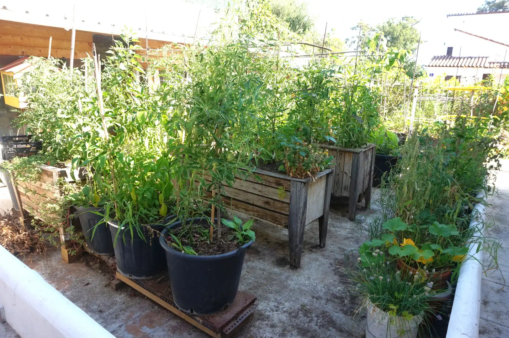Jardí de Casa o xalet en venda en Fogars de la Selva amb Calefacció, Jardí privat i Terrassa