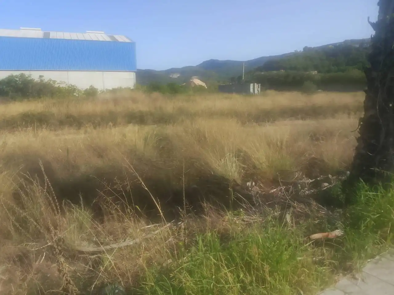 Industrial land for sale in Ador