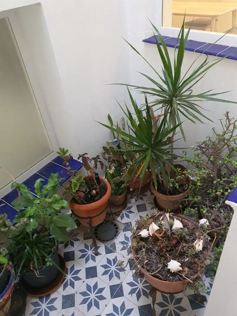 Balcony of Buildings for sale in Málaga