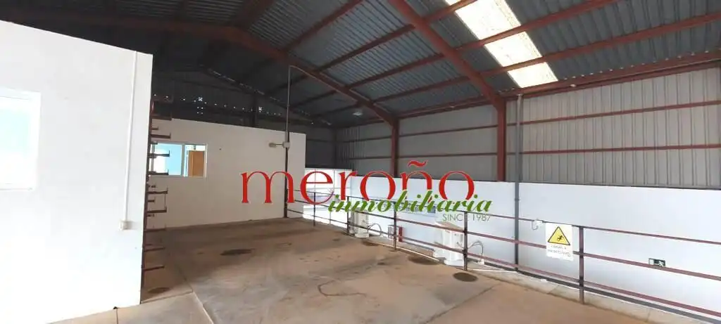 Nave industrial de alquiler en Aspe