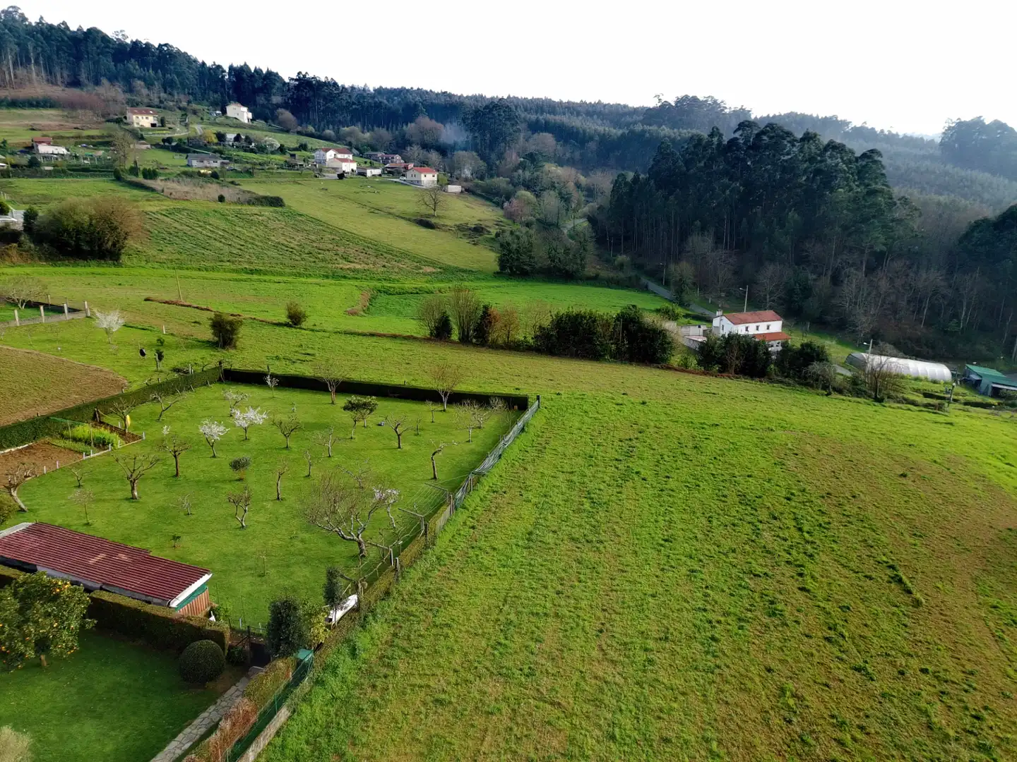 Wohnbaugrundstück zum Verkauf in Lugar Outeiro 82, imagen 8