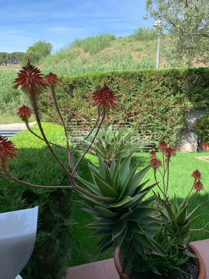 House with garden for sale in Santa Maria Balis - Can Riera - Can Jordi, imagen 8
