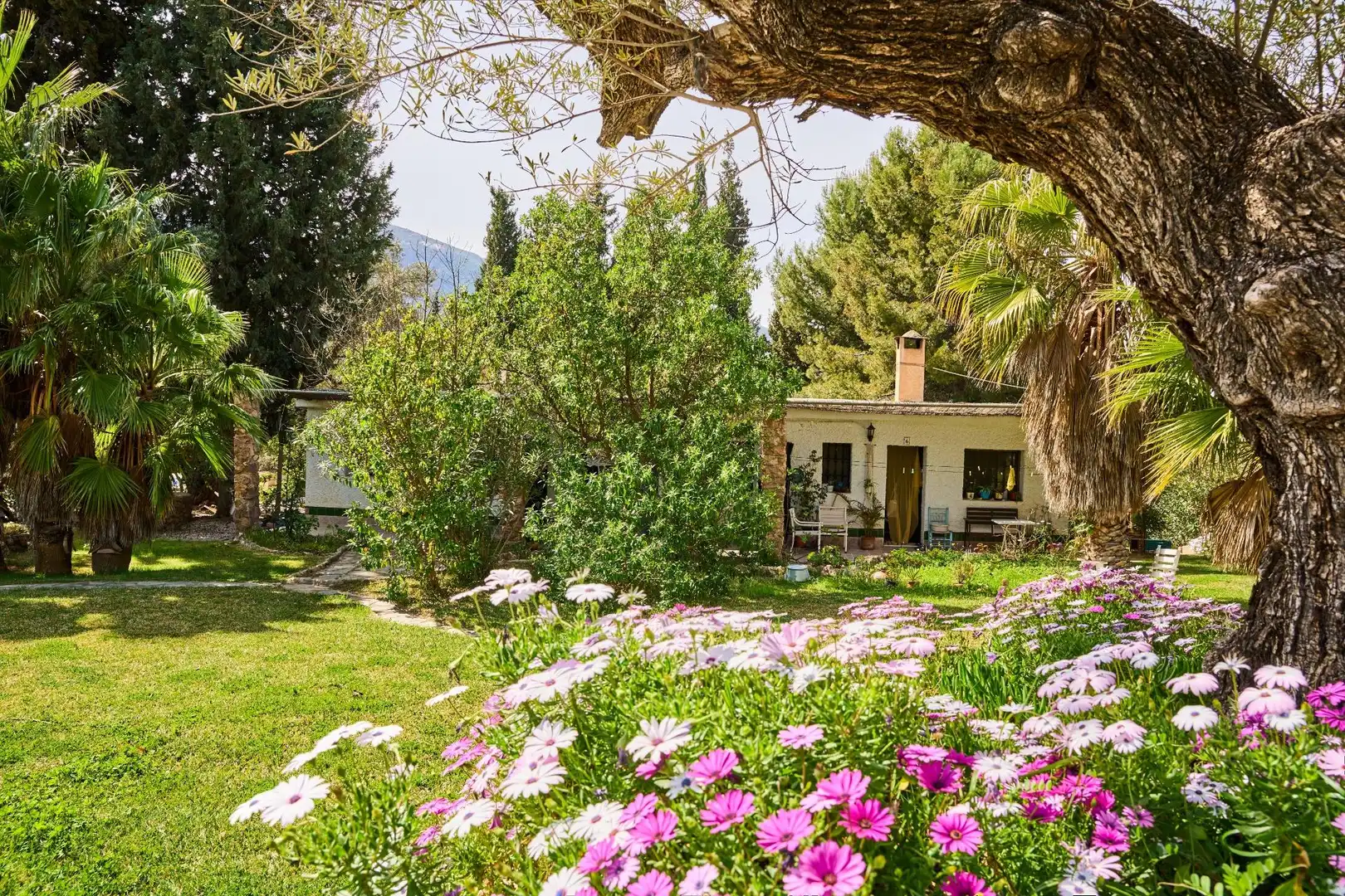 Jardí de Finca rústica en venda en Órgiva amb Jardí privat, Terrassa i Moblat