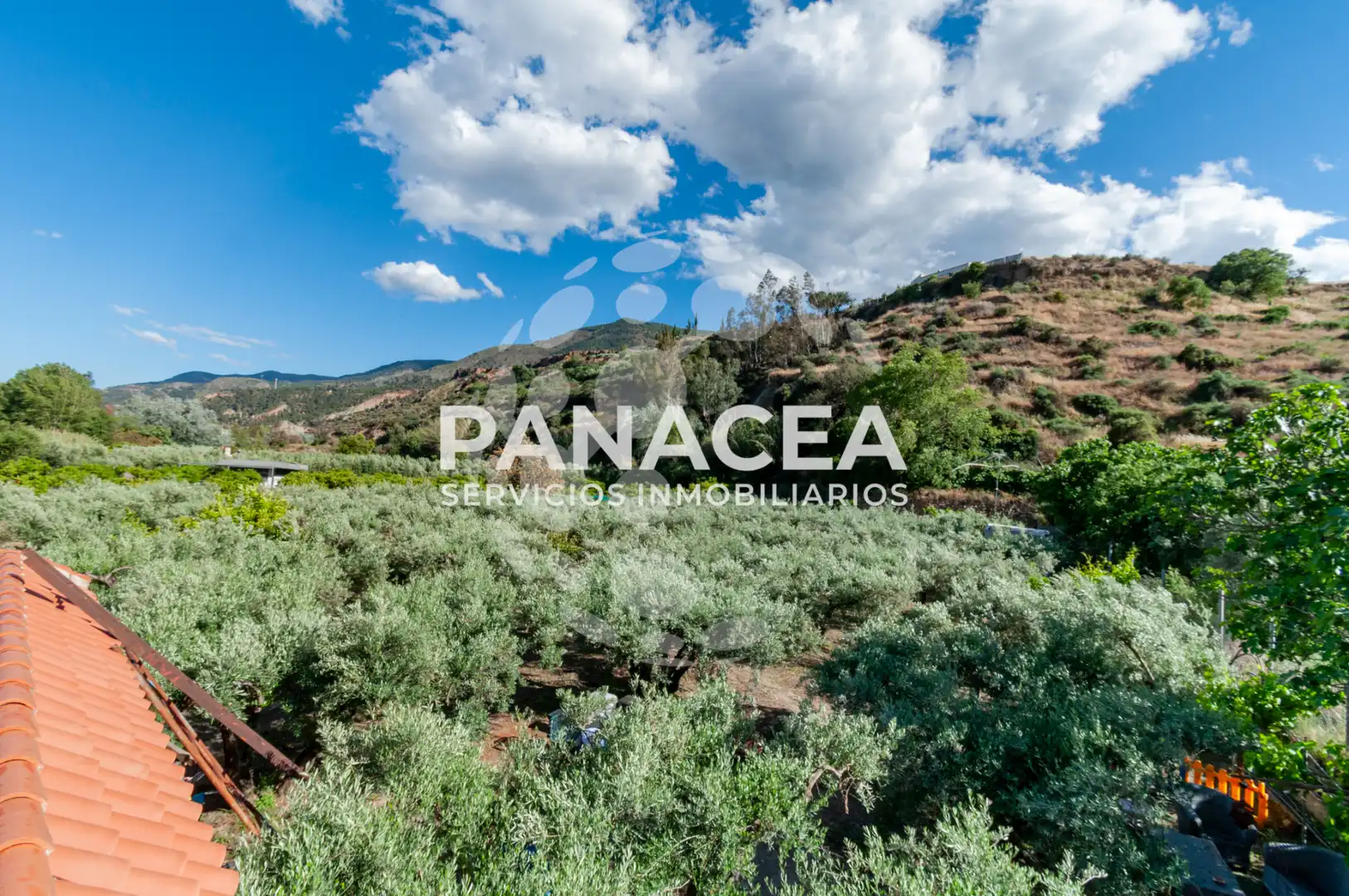 Country house with garden for sale in Canjáyar, imagen 32