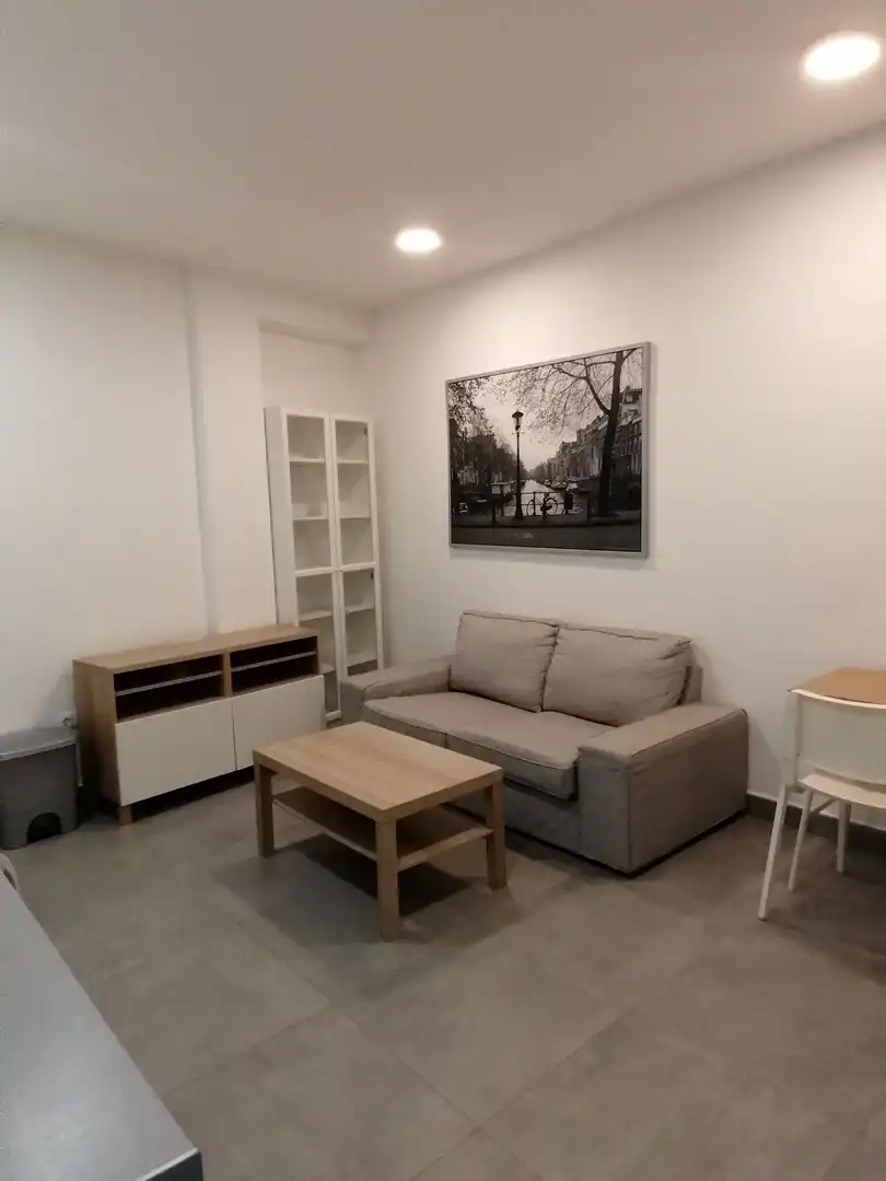Living room of Flat for rent in Algeciras  with Furnished